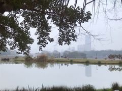 -南宁南湖公园