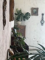 点击看大图 -壹HOME胶片摄影工作室