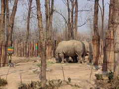 -北京野生动物园