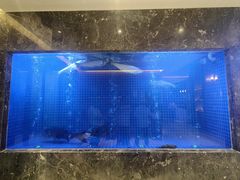 -忆江南·临江鱼馆