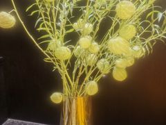 -西湖春天(中州店)