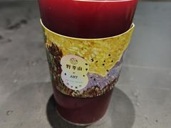 -野萃山·潮汕厚果汁(十亩地店)
