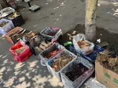 -铁军鲜羊肉汤