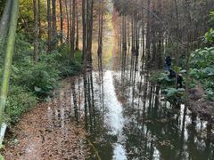 -广州市白云山风景名胜区
