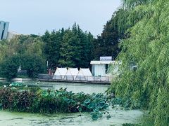 -月湖风景区