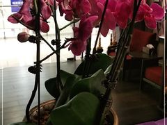 -LANN I 蘭 泰式古法按摩(徐家汇城开YOYO店)