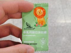 -杨高南路(地铁站)