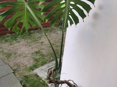 -肥朵食堂(带梦胡同店)