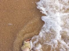 -浪琴湾度假村
