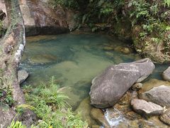 -广州白江湖森林公园