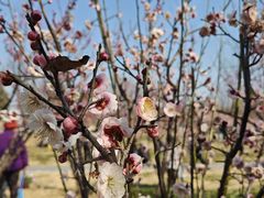 -艾山风景名胜区