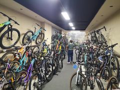 -道路口单车爱瓦士dahon大行