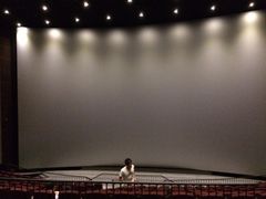iphone_upload_pic-首都电影院(天津店 中国巨幕)