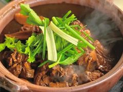 -霞姐屯昌枫木香草鸭店(海螺店)
