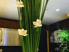 -云庭咖啡厅· 中航泊悦酒店(虹桥T2店)