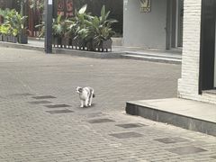 -F518时尚创意园