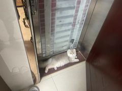 -瑞鹏宠物医院·微创内窥镜·骨外科·牙科(翠竹分院)