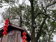 -灵顺寺