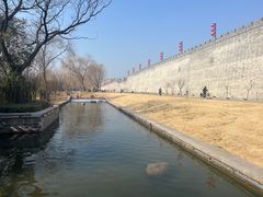 -洛阳市隋唐城遗址植物园