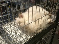 -远洋未来广场(育慧北路店)