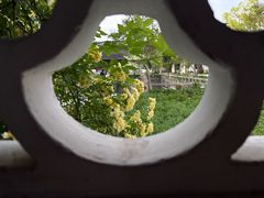 -苏州文庙(姑苏区)