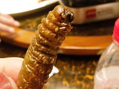 蚕虫-老江南春·中国龙菜(衡山路店)