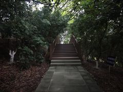 -张坝桂圆林公园