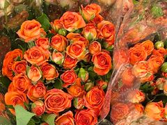 -循礼门鲜花花市(武汉循礼门店)