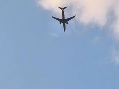 -重庆海昌加勒比海水世界