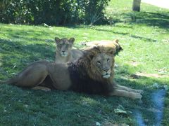 -北京野生动物园