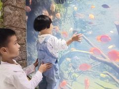 -南昌海洋公园