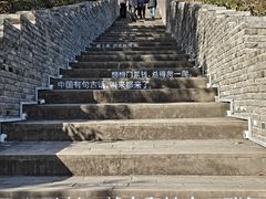 -黄贤森林公园