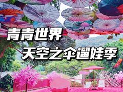 -青青世界