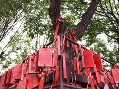 -河间府署