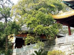 -普陀山风景名胜区-法雨禅寺