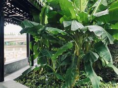 -上海皇廷花园酒店·西餐厅·自助餐
