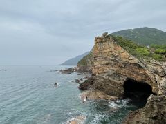 -杨梅坑