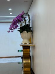 -广州曙光医学美容医院