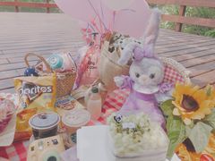 -新江湾城公园