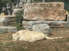 -秦皇岛野生动物园