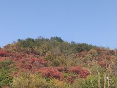 -北京西山国家森林公园