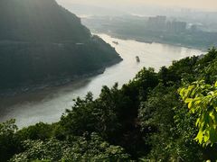 -铁山坪森林公园