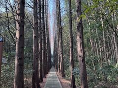 -同里国家湿地公园