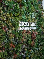 点击看大图 -禾美嘉医疗美容