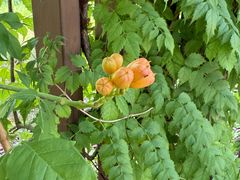 -狼山风景名胜区