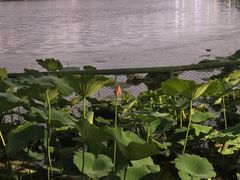 -悦界酒吧(后海店)