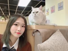-猫和宫(六道口店)