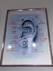 点击看大图 -AI艾耳·专业手工耳洞·穿孔美学馆