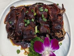 -小小饭店·休闲农庄·安吉松树林里的农家菜