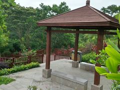 -聚龙山公园